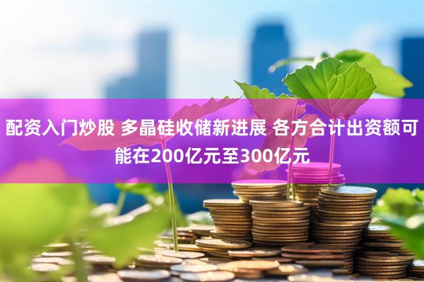 配资入门炒股 多晶硅收储新进展 各方合计出资额可能在200亿元至300亿元