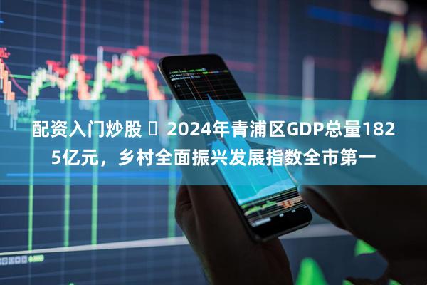 配资入门炒股 ​2024年青浦区GDP总量1825亿元，乡村全面振兴发展指数全市第一