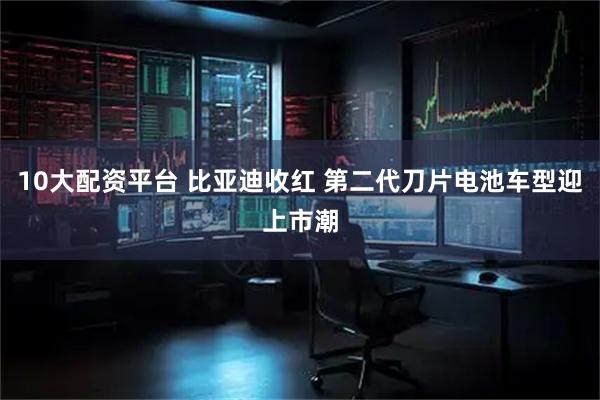 10大配资平台 比亚迪收红 第二代刀片电池车型迎上市潮